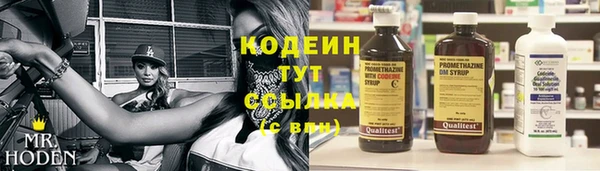 гашик Козельск