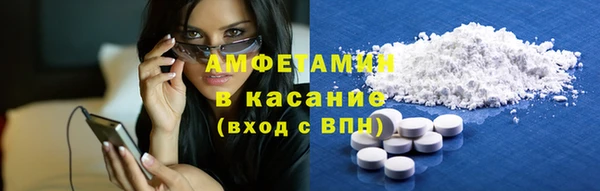 гашик Козельск