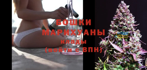 мдпв Костерёво