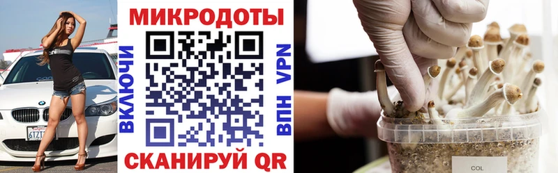 Галлюциногенные грибы Psilocybe  Ирбит 